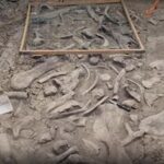 Dinosaur Provincial Park Centrosaurus Dinosaur Replication Site