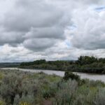 Rosedale Suspension Bridge View