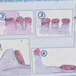 Willow Creek Hoodoos Stages